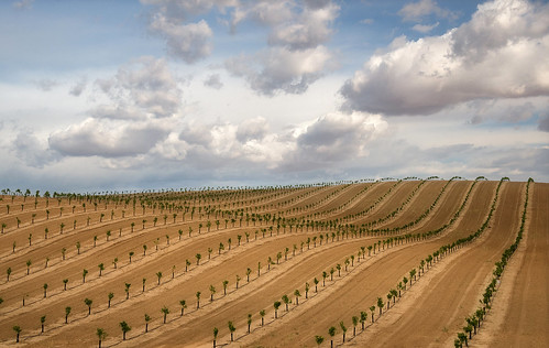 Farmland