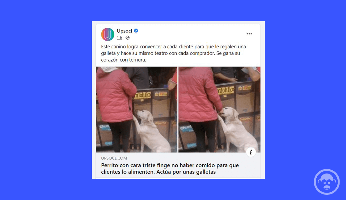 articulos categorías gramaticales
